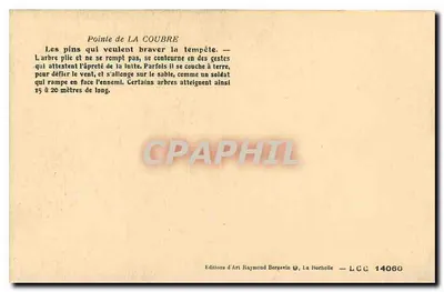 Pinhas de La Coubre — Ramuntcho — Verso