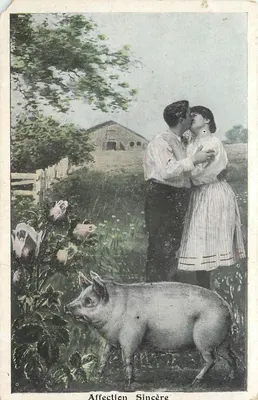 Casal abraçando um porco — Afeto Sincero — Carte postale francesa