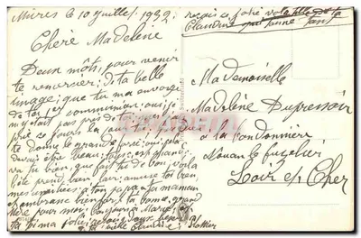 Papillon sur fleurs bleues — montagnes enneigées — éditeur Wayroom — Rewers