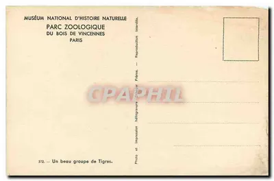 Groep tijgers — Nationaal Museum voor Natuurgeschiedenis, Dierentuin van het Bois de Vincennes, Parijs — Foto Frères — Achterkant