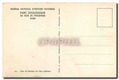 Lion i lwy na ich półwyspie — Muzeum Historii Naturalnej, ZOO w Lasie Vincennes, Paryż — seria 153 — Rewers