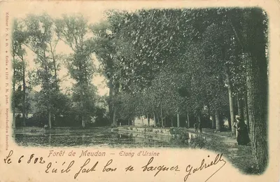 Floresta de Meudon — Lago de Ursine — Editor P. S. & D. n° 6802