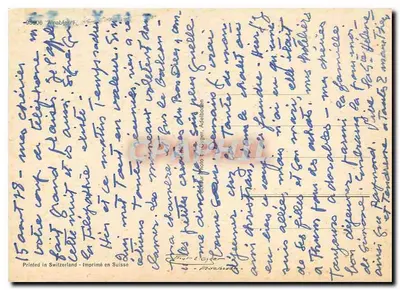 सजाए गए गायों की प्रदर्शनी — स्विस एल्प्स — फोटो द्वारा जी. एडलबोडेन — पीछे