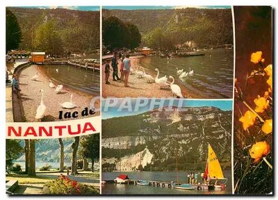 Lago de Nantua — vista panorâmica com cisnes e vela — Edições J. Cellard