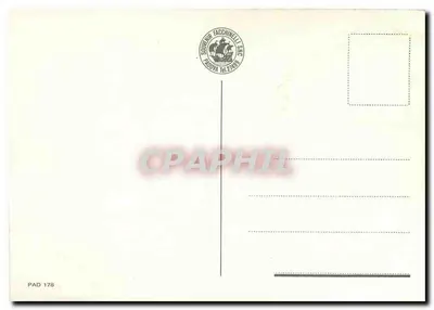 Katedra w Padwie — widok panoramiczny — Souvenir Facchinelli S.A.S. PAD 178 — Rewers
