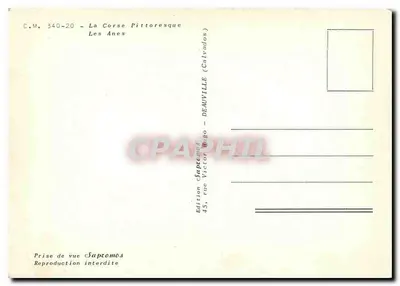 Dwa osiołki — Piekliście Korsyka — Wydawnictwo Sapromos — Rewers