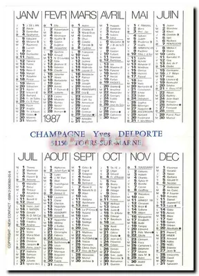 Champagne — dar zawsze ceniony — Champagne Yves Delporte, 51150 Tours-sur-Marne — Rewers