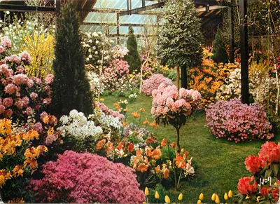 Jardim botânico interno — Exposição floral — Éditions d'art Yvan, N° 10