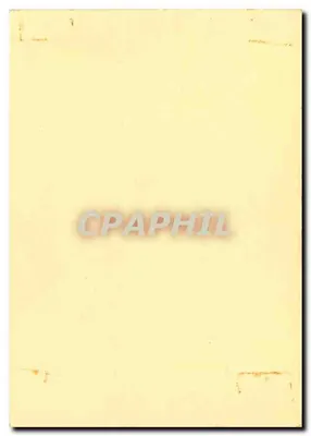 La Morinique — origem helenística, significa "única" — carta decorativa com motivo floral — Verso
