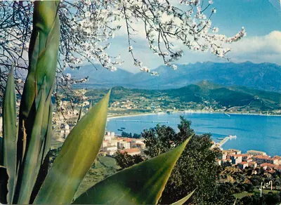 Ajaccio — Visão geral da Cidade e do Golfo — Éditions Marzel, Paris