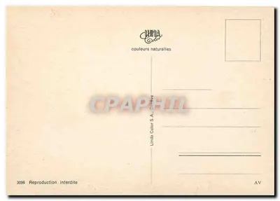 Genewa i jej Fontanna — Linda Color S.A., Genewa, nr 3096 — Rewers