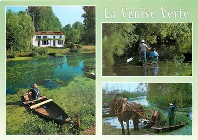 A Veneza Verde — paisagem de pântano — Artaud Frères, n°145