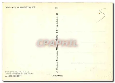 Flamantes-rosas — dentro de um recinto — Jardin Zoologique du Gué Gallet, Sigy-en-Châtellier (71) — Verso
