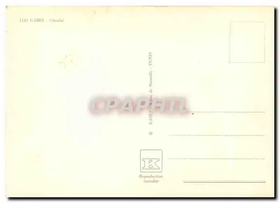 Chenini — Oazą z wodopadem — CPAPHIL, seria 1543 — Rewers