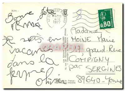 As trollas — flores amarelas perto de um riacho — Les Editions L'Économie — Verso