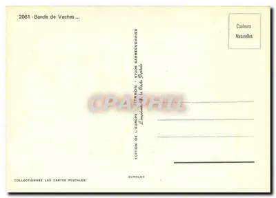 Banda de vacas — Montanhas — Edição da Europa — Verso