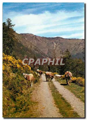Roussillon (Pyrénées-Orientales) — Ao descer do Lago de Balcàre aos Angles — Edição da Europa, Pierron