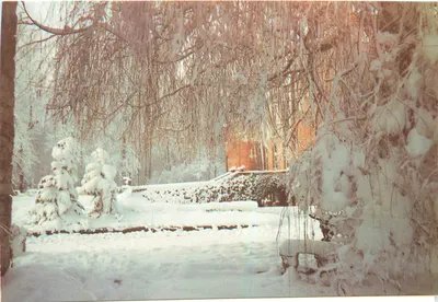Castelo de Pony-sur-Yonne — vista invernal nevada — (10290)