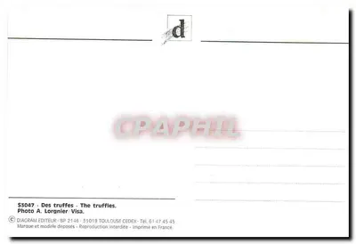 Truffas — entre as folhas de outono — Diagram Éditeur — Verso