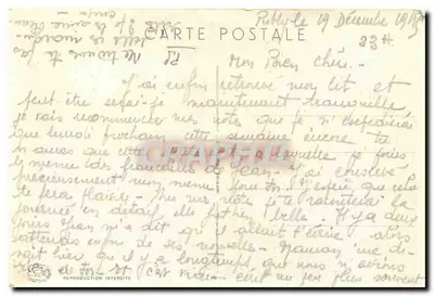 Flores de margaridas — reprodução — editor não identificado, n° de série 234 — Verso
