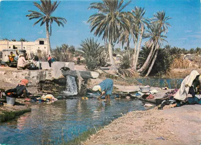 Kébili - Fonte na Oasis — n° C 188