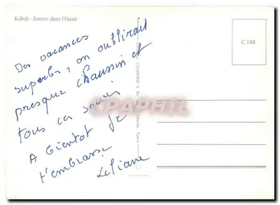 Kébili - Fonte na Oasis — n° C 188 — Verso