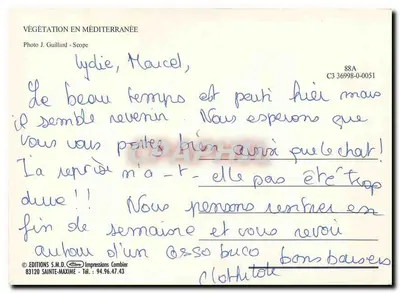 Pin parasol — Méditerranée — Éditions S.M.D. — Verso