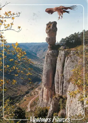 Águias Falcões — Vista do local da Causse Mejean — S.A. APA-POUX - ALBI