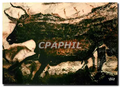 Gruta de Lascaux — Parede esquerda do desvio axial — Grande touro — Edições Modernas « Théolise »