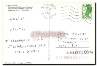 Kwiat tytoniu — Centrum Bergerac — Dokumentacja SEITA — Rewers