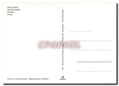 Fioletki — Viola canina — Druck und Verlag Engadin Press AG, Samedan — Rewers