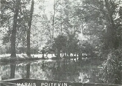 Marais Poitevin — vista da floresta e do canal —