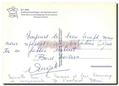 Barco de pesca — aves em voo — Edições d'Allos le Château, n°101 — Verso