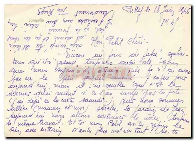 फूले हुए नार्सिसेस — काले और सफेद फोटोग्राफी — जॉन्किल, फ्रांस — पीछे