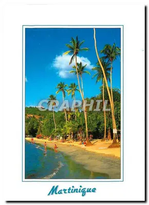 Martinique — plage de palmiers — CRAPHIL