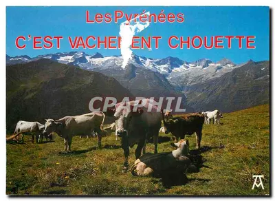 Os Pirineus — C'EST VACHEMENT CHOUETTE — Edições Artvr, Pau