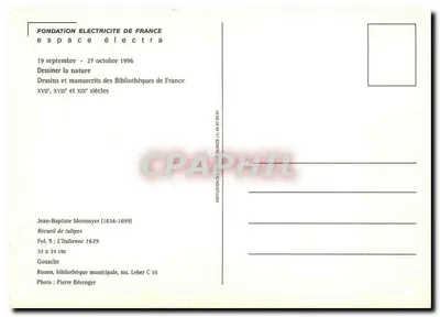 Tulipan 'Admiral Boyaerd' — rysunek Jean-Baptiste Monnoyer — Fundacja Elektryczność Francji — Rewers