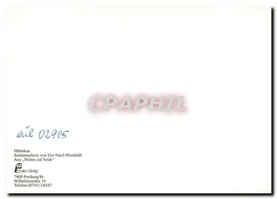 Hibisco — pintura aquarelada — Seidenmalerei von Ute Patel-Missfeldt, Eulen Verlag — Verso