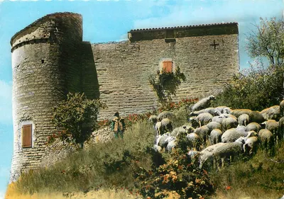 O Castelo - Nas portas do castelo onde a natureza e o sossego recuperam sua grandiosidade — St ROME DE CERNON (Aveyron) — Sté des Cartes Postales APA - POUX - ROMACOLOR COULEURS NATURELLES