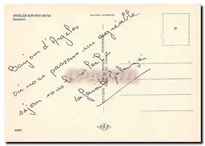Argelès-sur-Mer — widok panoramiczny z kościołem i palmami — PAP — Rewers