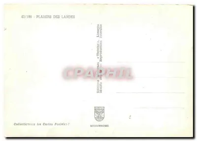 Prazeres das Landas — 40/186 — Edições Théodisc — Verso