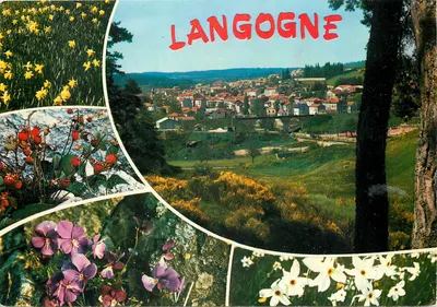 Langogne — vista panorâmica e flores — Edições J. Cellard