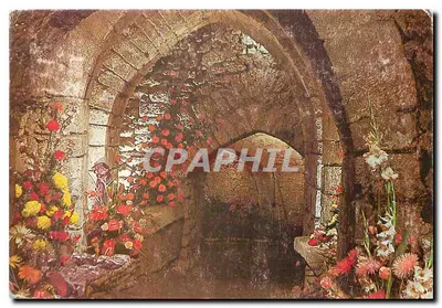 Martigny-Briand — Festival Floral — S.P.I. Villiers-sur-Marne