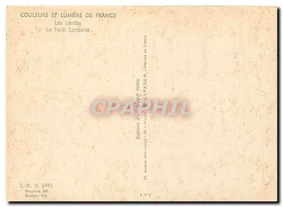 Les Landas — A Floresta Landaise — Edições Jean-Jaurès — Verso