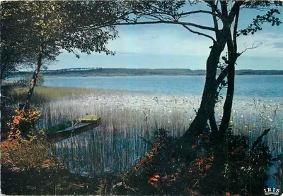 Lago na Lande — poema de Guy de Maupassant — Edições Théodac