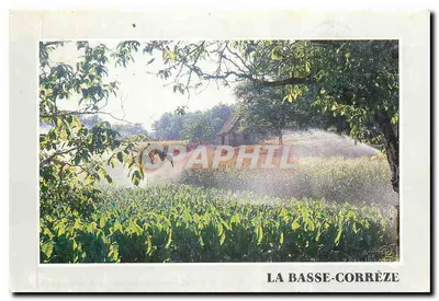 La Basse-Corrèze — campos de tabaco irrigados — Foto Edição « France REGARD »