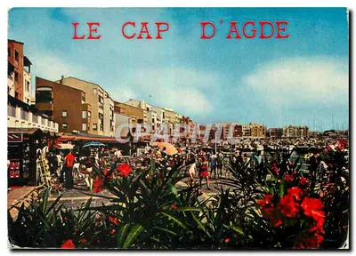 O Cabo d'Agde — vista do porto e do mercado — Edições de França, Litoral Languedociense