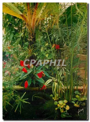 Jardim exótico — Sanary-sur-Mer (Var) — Edições Jean-Jauret
