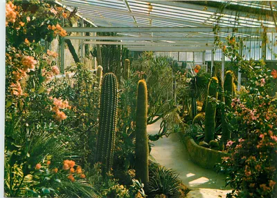 Jardim Exótico e Zoológico Sanary-Bangol — Uma parte da estufa tropical — Edição Sanary-Bangol, n°21