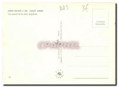 Jardim Exótico e Zoológico Sanary-Bangol — Uma parte da estufa tropical — Edição Sanary-Bangol, n°21 — Verso